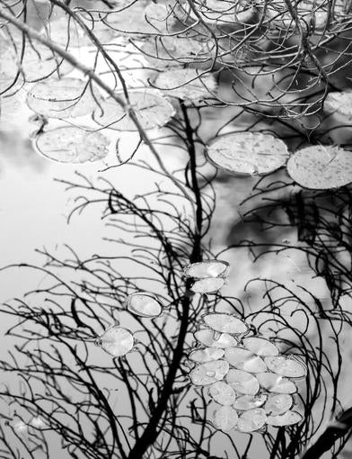 Entanglement
