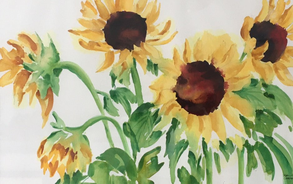 Sunshine