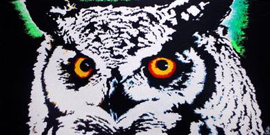 Watch Owl