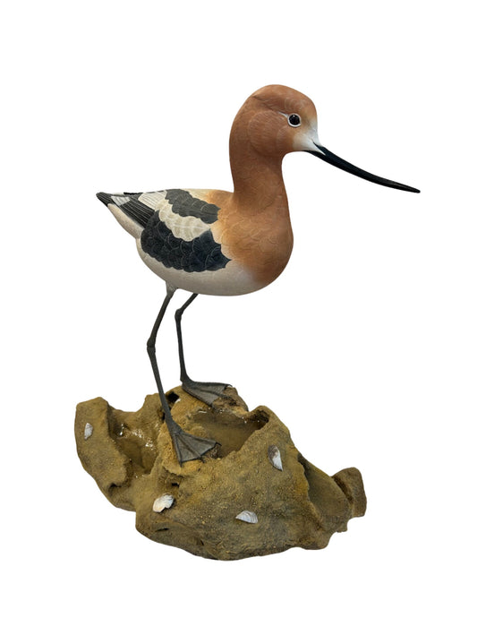 American Avocet by John de Lang