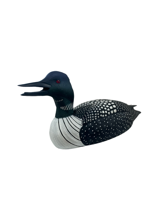 Loon by John de Lang