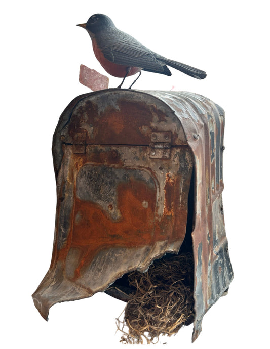 American Robin on Mailbox by John de Lang