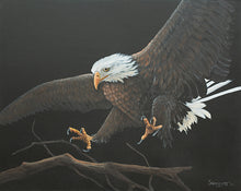 Load image into Gallery viewer, Bald Eagle and Branch
