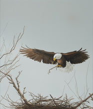 Load image into Gallery viewer, Bald Eagle and Nest
