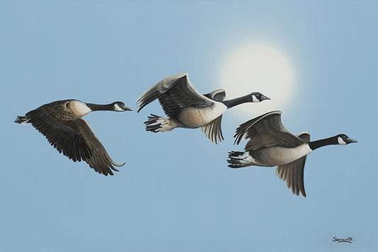 Flying Geese and Sun