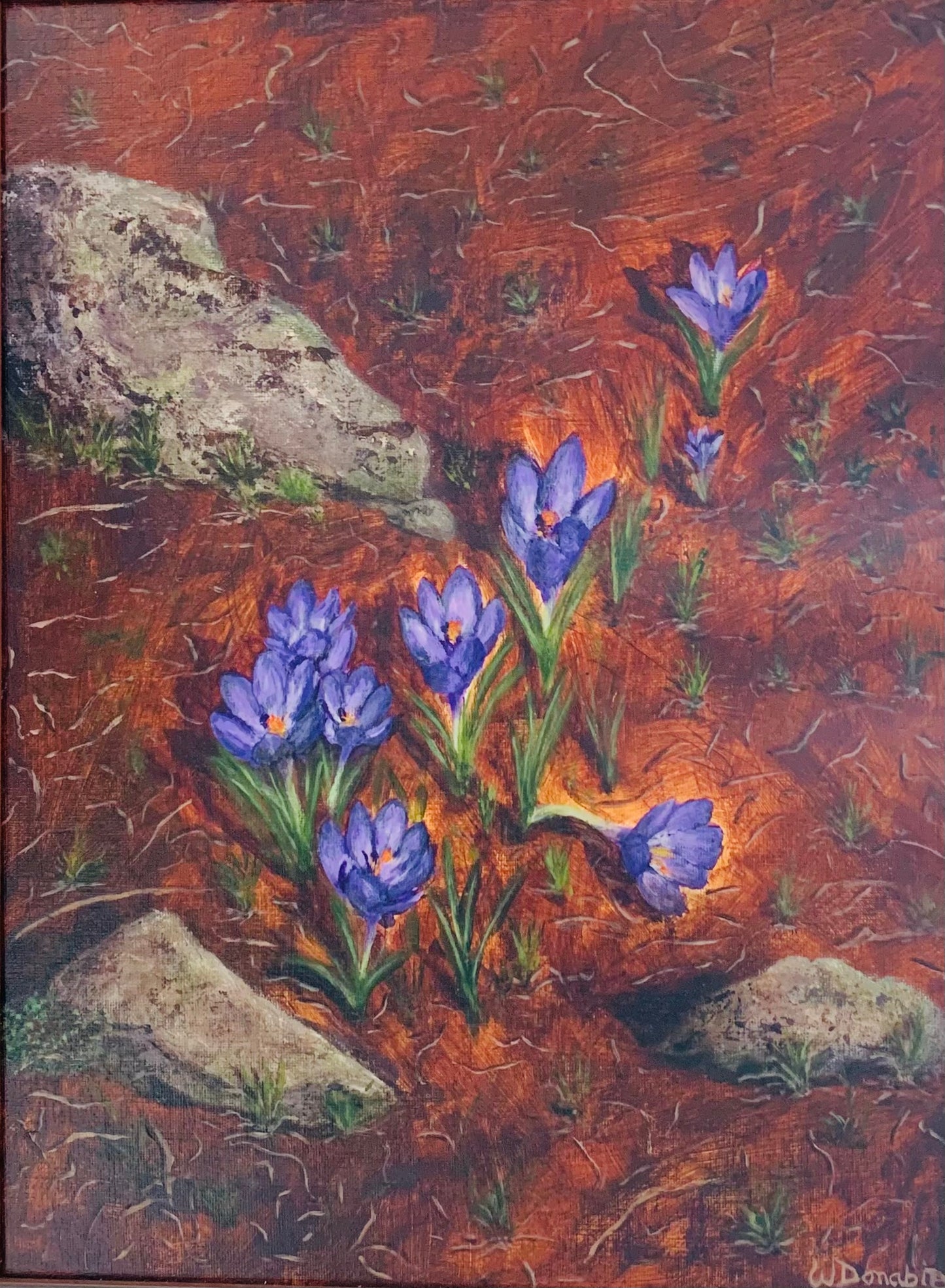 Crocus Surprise - Wendie Donabie