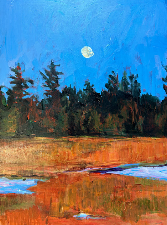 Moonrise over wetlands