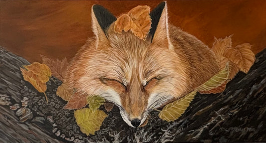 Fall Nap by Chris Pirie