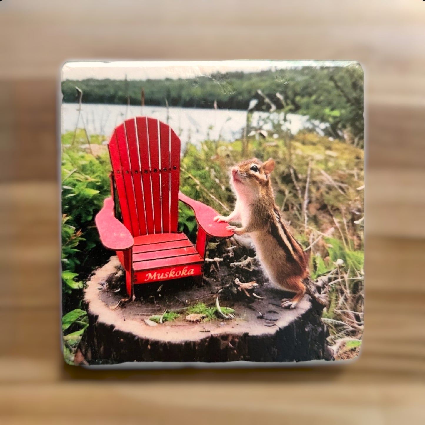 Muskoka Chippy Stump