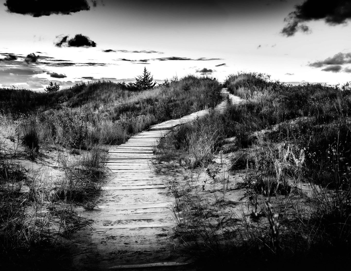 Path Through Dunes - Artist Kevin Ford