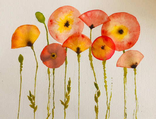 Poppies