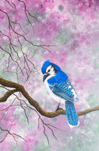 Load image into Gallery viewer, Blue Jay
