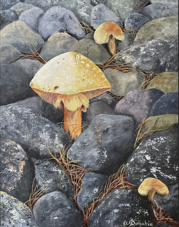 Shrooms on the Rocks by Wendie Donabie