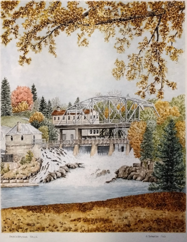 Bracebridge Falls by Sheila Burgess