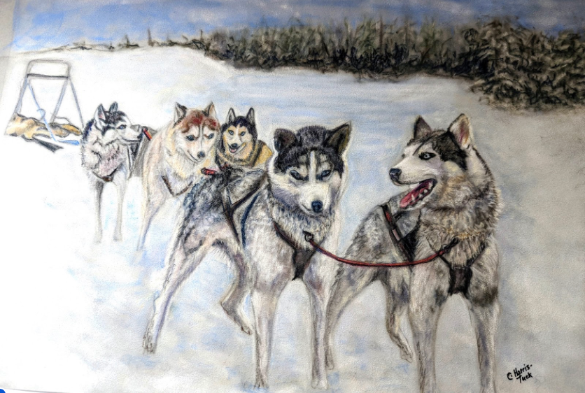 Sled Dogs Waiting by Cherin Harris-Tuck