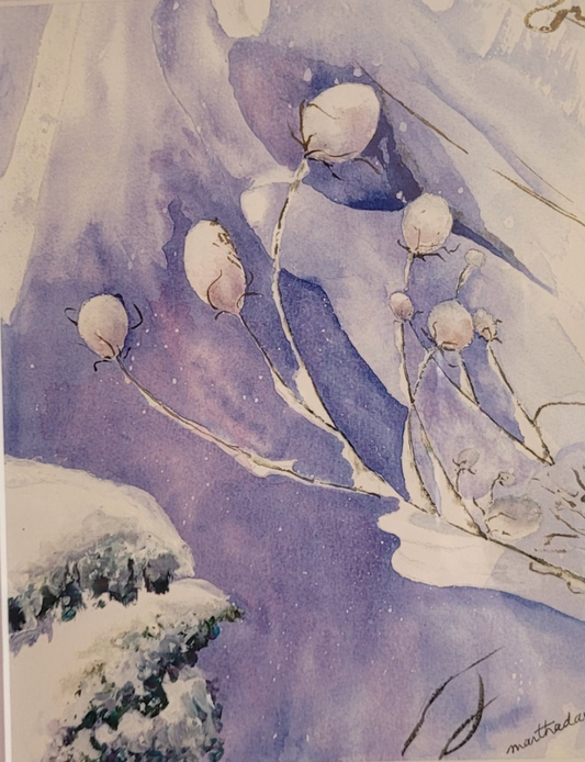 Winter Teasels by Martha Davis