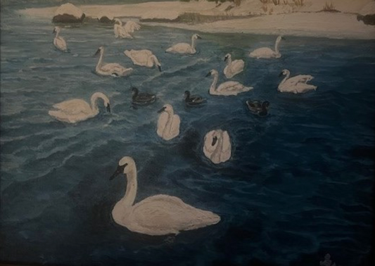 Swans on the Severn by Cindy Atmus Powell