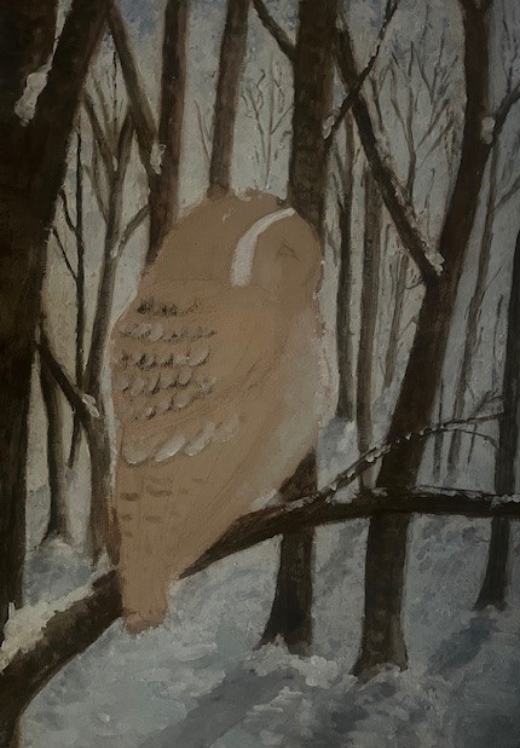 Visiting Owl by Cindy Atmus Powell