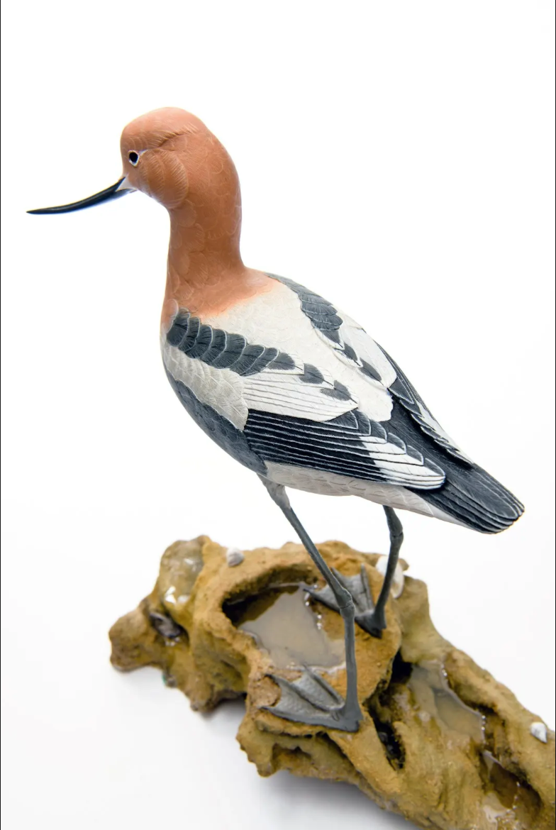 American Avocet by John de Lang