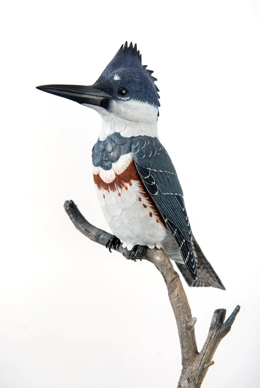 Kingfisher by John de Lang