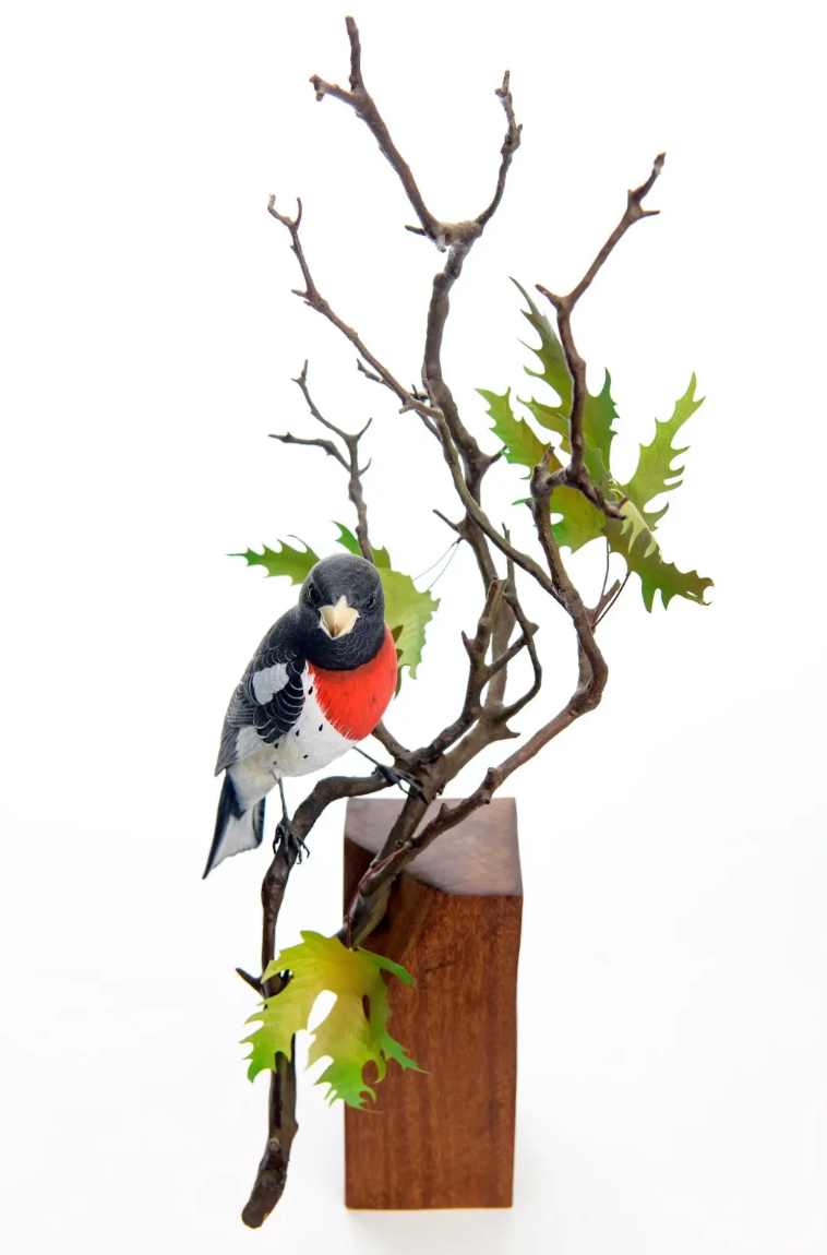 Red-Breasted Grosbeak by John de Lang