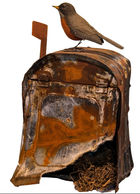 American Robin on Mailbox