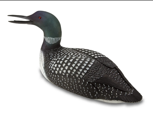 Loon by John de Lang