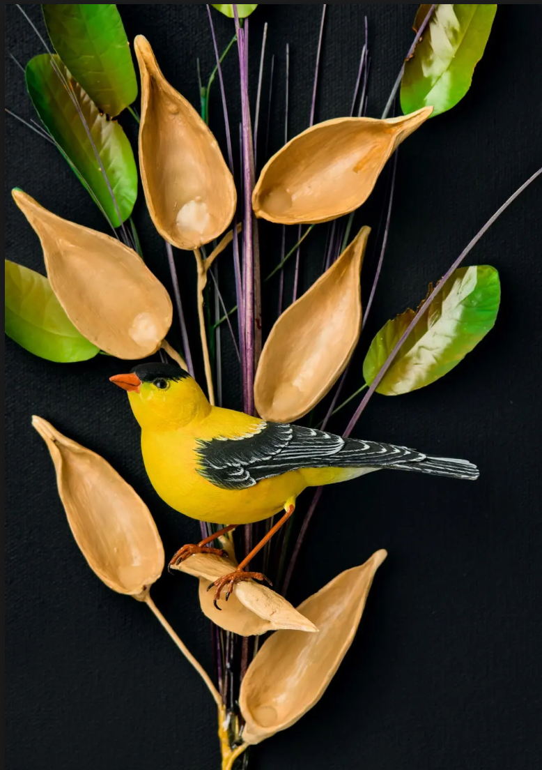 American Goldfinch on Milkweed