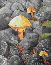 Load image into Gallery viewer, &#39;Shrooms on the Rocks
